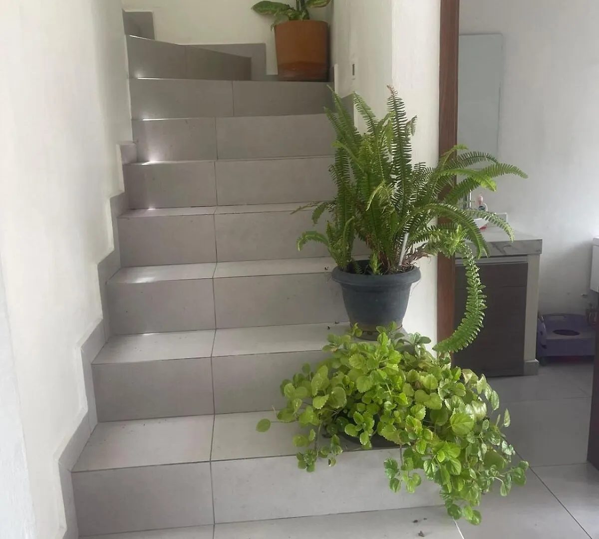 Encantadora Casa En Zapopan 瓜达拉哈拉 度假居