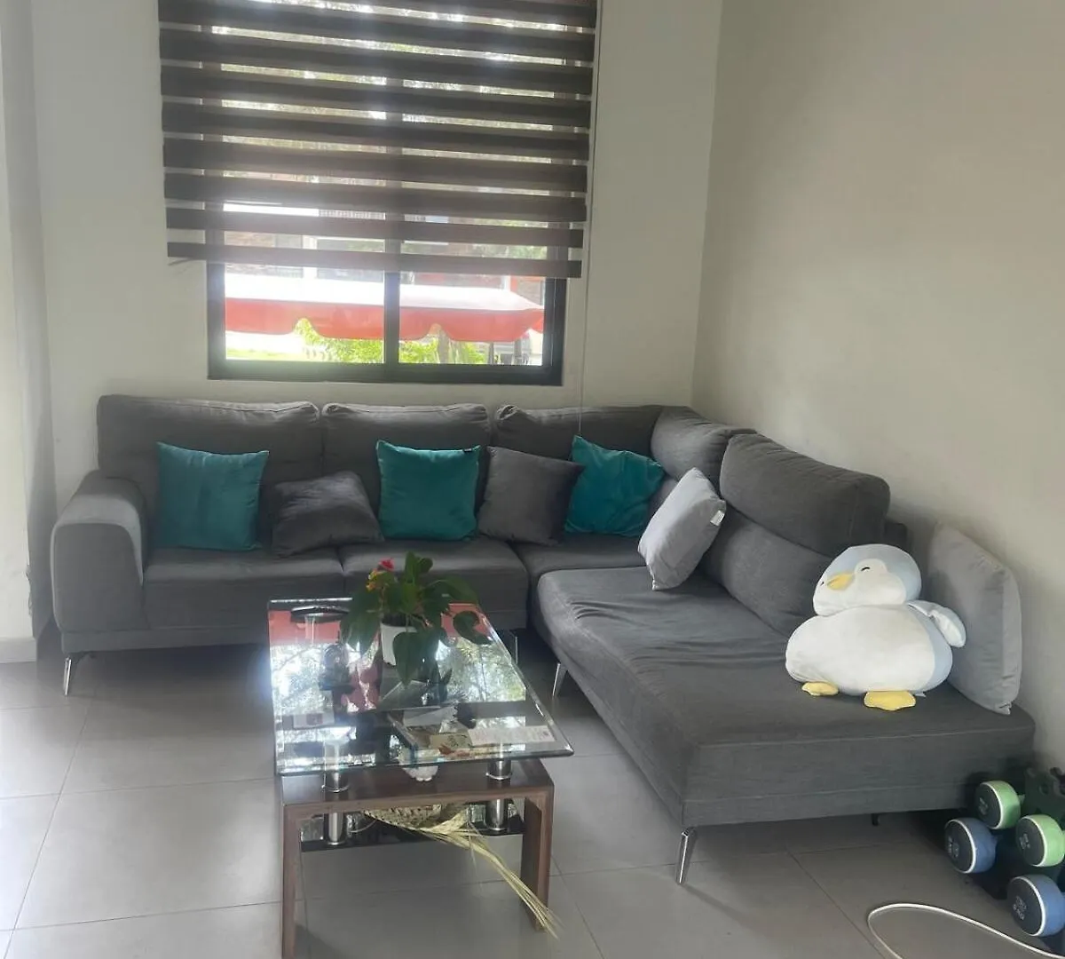 Encantadora Casa En Zapopan 瓜达拉哈拉